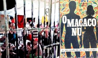 Racismo não é ser chamado de macaco preto, mas cadeia é sadismo!