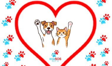 NosSOS Pet's