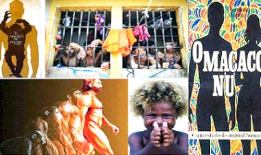 Racismo não é ser chamado de macaco preto! Mas...cadeia é sadismo!!