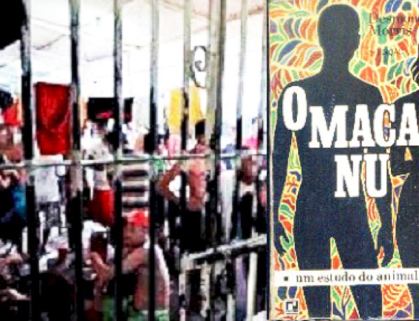 Racismo não é ser chamado de macaco preto, mas cadeia é sadismo!