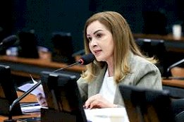 Comissão da Pessoa Idosa aprova criminalização de estelionato sentimental digital